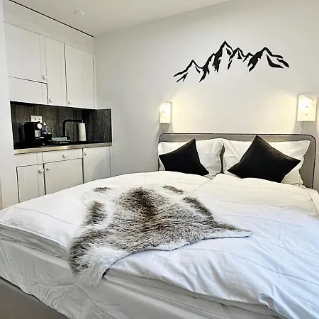 Bijou, Holz, Zentral, Mit Garage Und Pool -cb102-b Daire Saint-Moritz